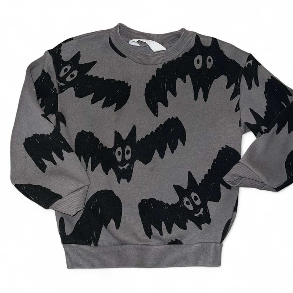 Gray H&M 3-4T Bat Motif Crewneck Sweatshirt